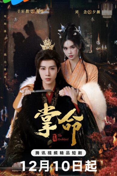 The Architect (2025)