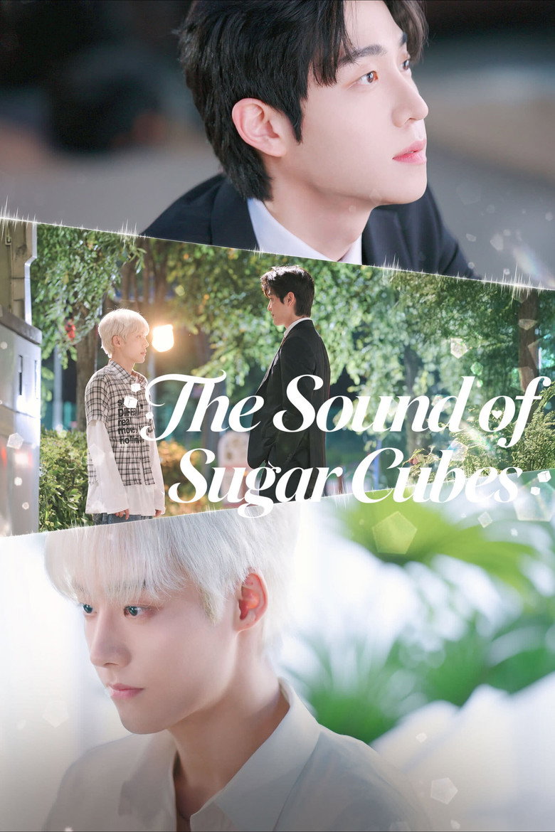 The Sound of Sugar Cubes (2026)